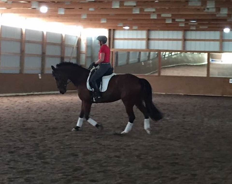 Creating a passion to dance on horseback--  Katie Miler 